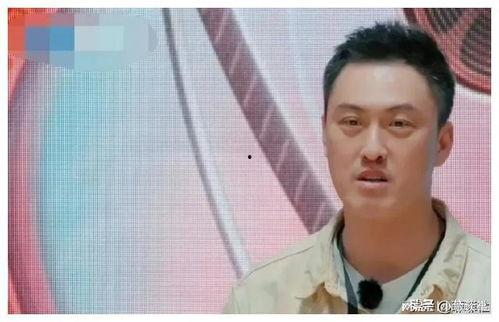 娱乐圈吃瓜户,揭秘“吃瓜户”背后的故事