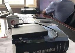 91秦先生国产,国产生态下的创新与突破